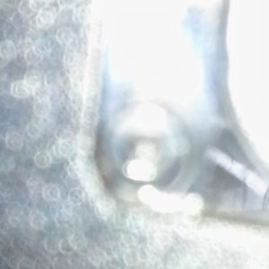 Meet your Posher, Darius